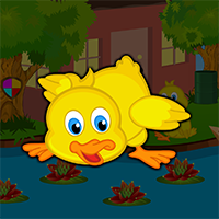 Cute Duckling Bird Escape Game